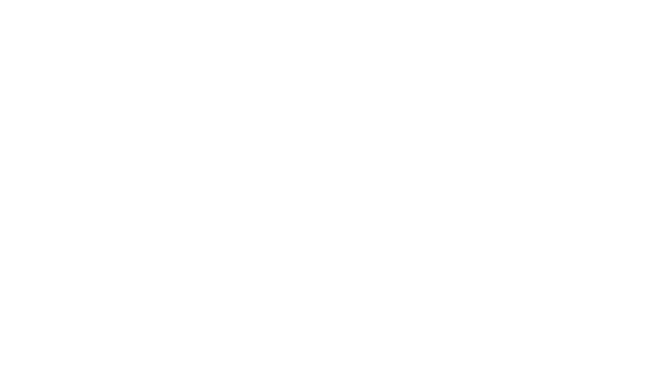 Heineken Logo
